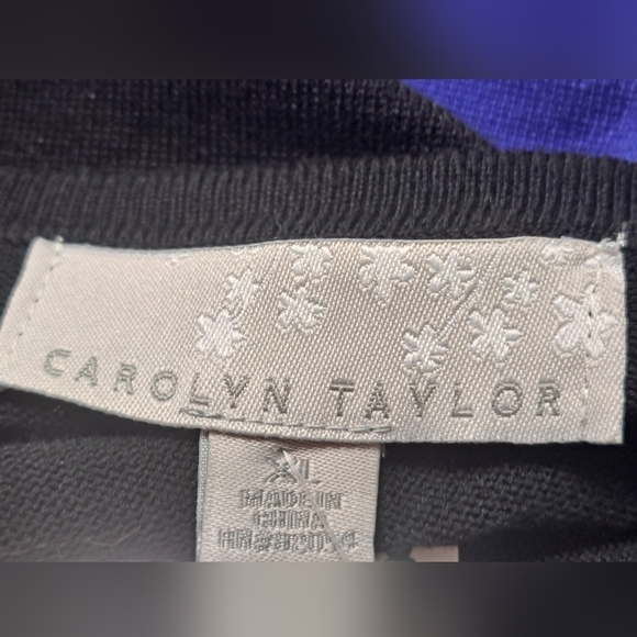 Carolyn Taylor Colorblock Raglan Sweater   Size XL - Picture 9 of 10